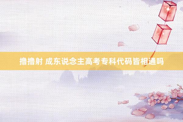 撸撸射 成东说念主高考专科代码皆相通吗