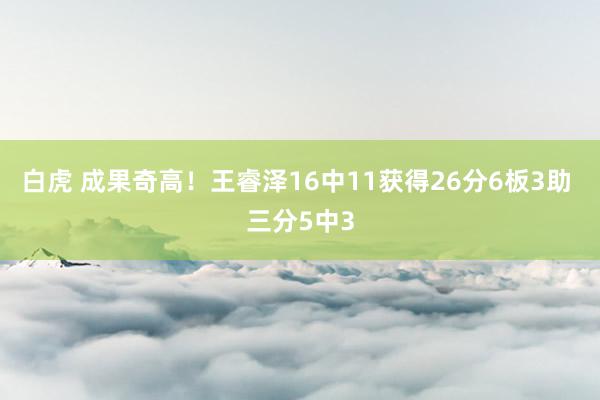 白虎 成果奇高！王睿泽16中11获得26分6板3助 三分5中3