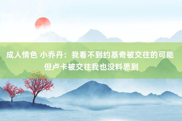 成人情色 小乔丹：我看不到约基奇被交往的可能 但卢卡被交往我也没料思到